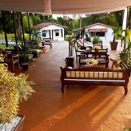 Raizama Fazenda Hotel Alexania Екстер'єр фото